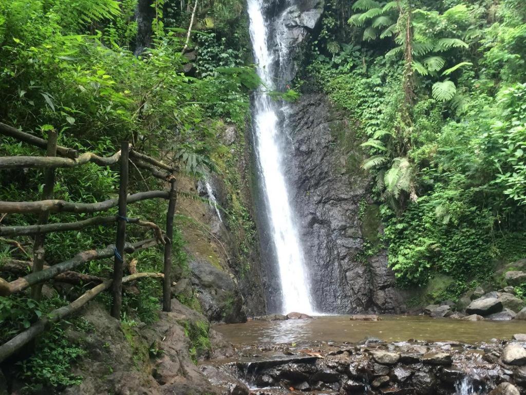 Jimmers Mountain Resort Puncak Ngoại thất bức ảnh